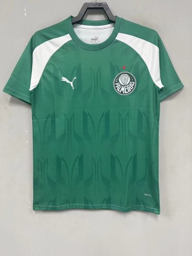 Palmeiras Training Soccer Jersey 2024 2025