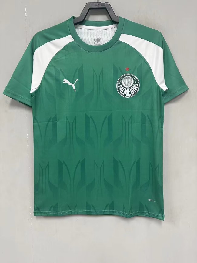 Palmeiras Training Soccer Jersey 2024 2025