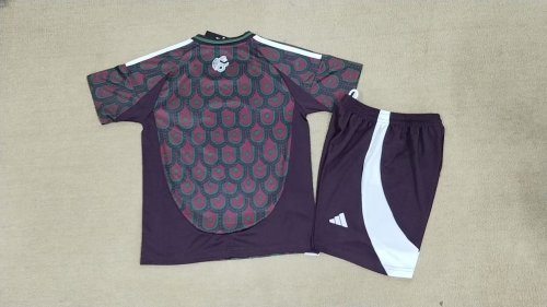 2024 Kids Mexico Home Soccer Uniform