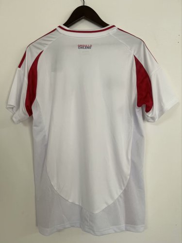 Chile Away Soccer Jersey 2024 2025