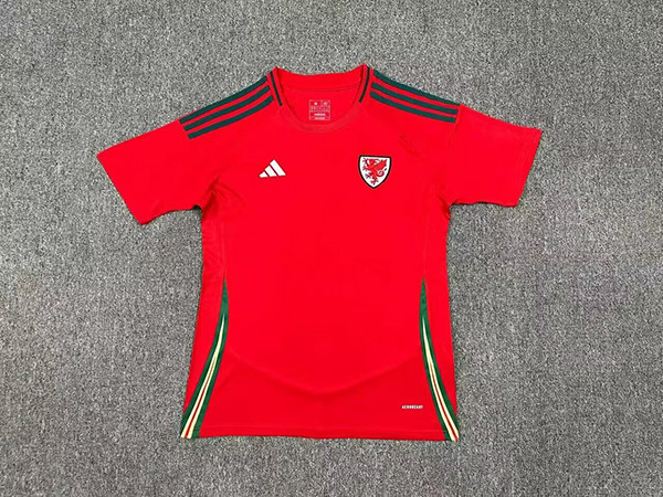 2024 Wales home red soccer jersey