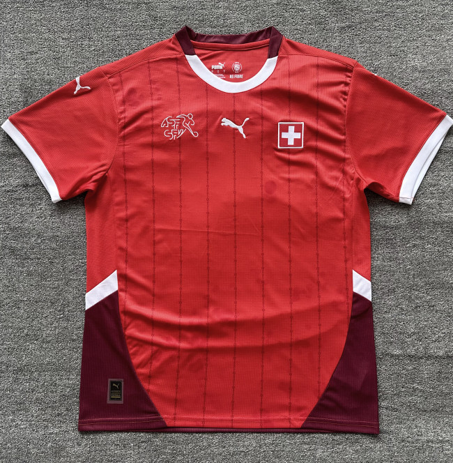 2024 Switzerland home