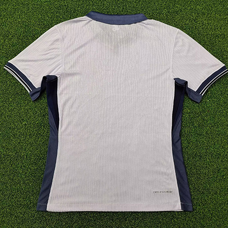 player version Inter Milan 24-25 away