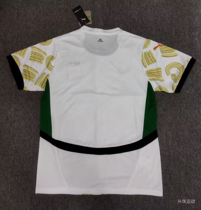 Ivory Coast Away Soccer Jersey 2024 2025