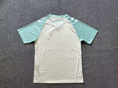 Werder bremen Away Soccer Jersey 2024 2025