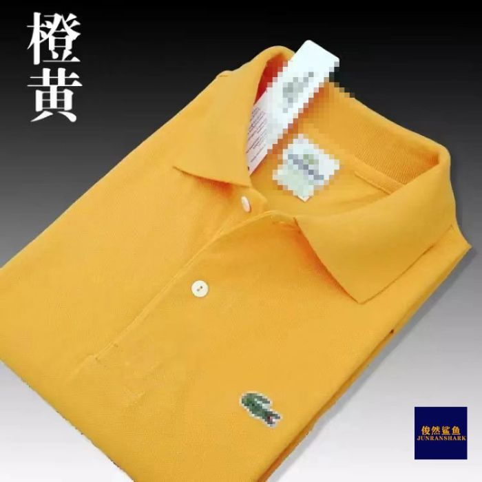 2024 Polo