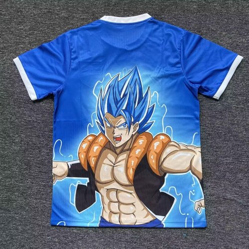 Japan Soccer Jersey 2024 2025
