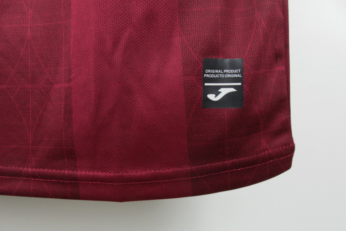Torino Home Soccer Jersey 2024 2025