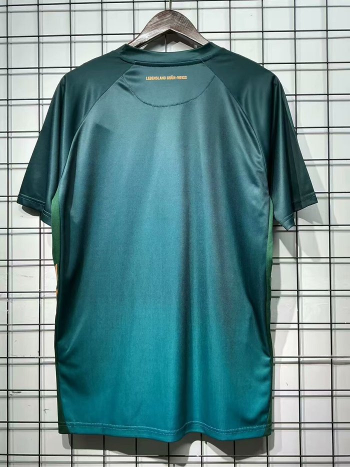 Werder bremen Third Away Soccer Jersey 2025 2026