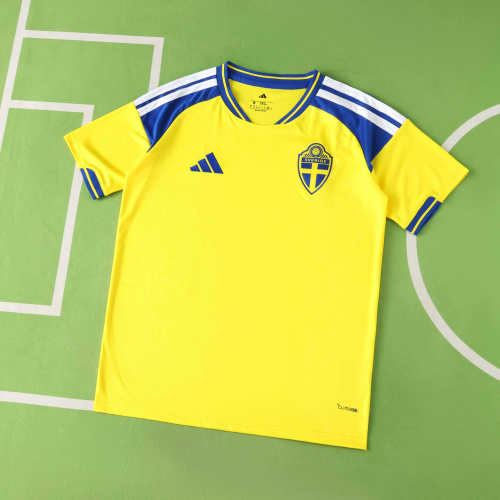 2026 World Cup Sweden home Fan version