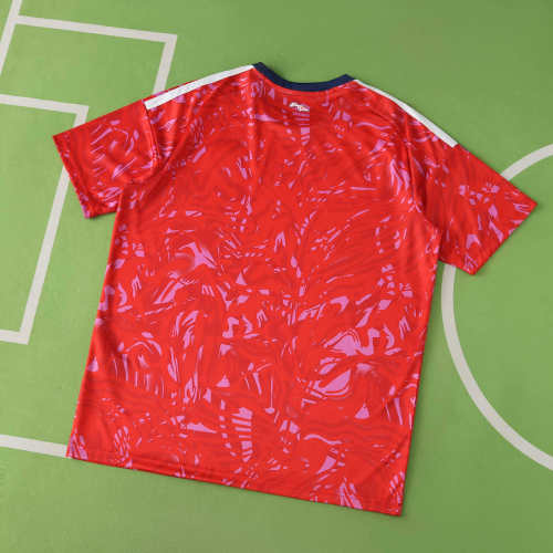 2026  World Cup Costa Rica home Fan version Jersey