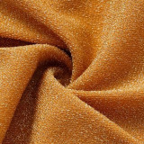 Solid Color Shiny One-Piece Swimsuit Halter-NeckLong-Sleeved Open-Front One-Piece Swimsuit