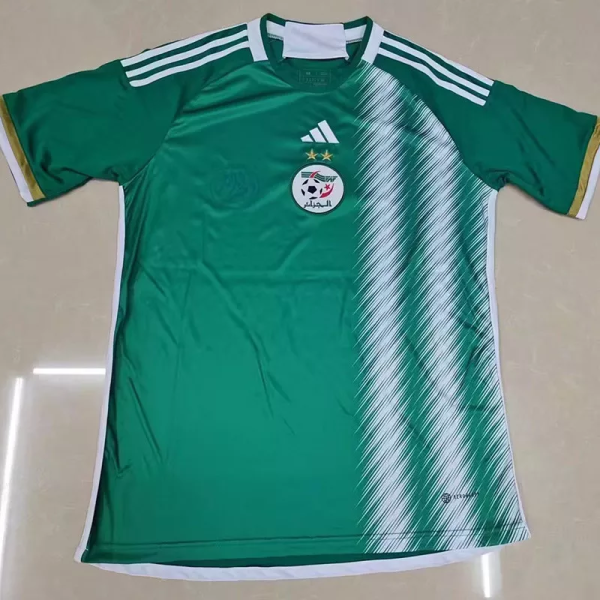 22-23 Algeria Concept Edition Green Fans Soccer Jersey