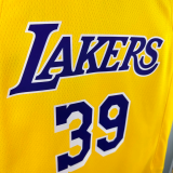 22-23 LAKERS HOWARD #39 Yellow Top Quality Hot Pressing NBA Jersey