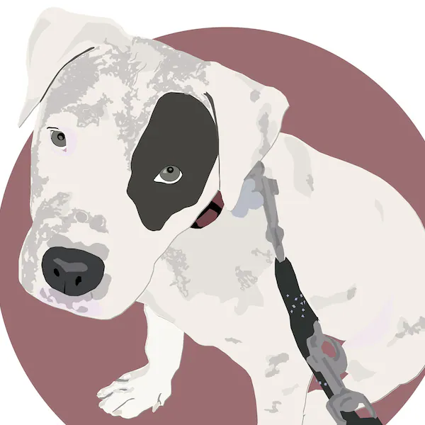 Custom Pet Illustration - Digital Portrait of Dogs and Cats - Unique Art for Animal Lovers - Personalized Drawing    