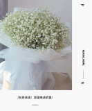 All over the Sky Stars Dried Flower Bouquet Big Birthday Gift Eternal Life Flowers Large Bouquet Yunnan Flowers Natural Air Dried True Flowers