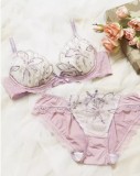 Underwear women's breasts gather, adjust the type of breastfeeding, no steel ring, sexy bra, panties, a set of inner women's clothing, summer