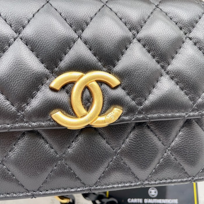 chanel1069PYD081
