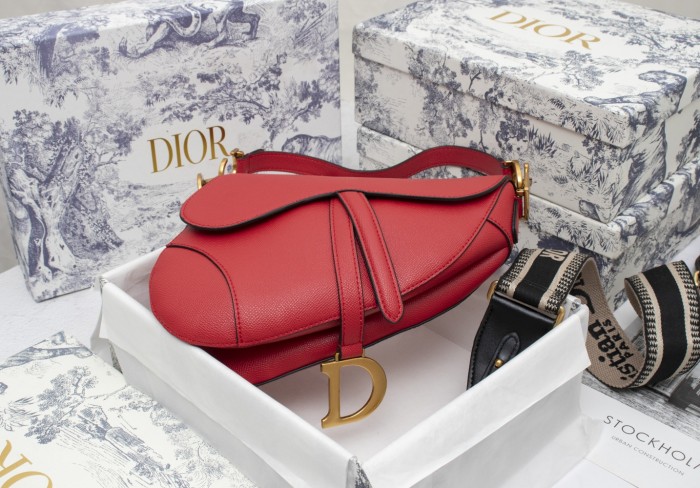 Dior Saddle bag Grained 25.5cm 6666