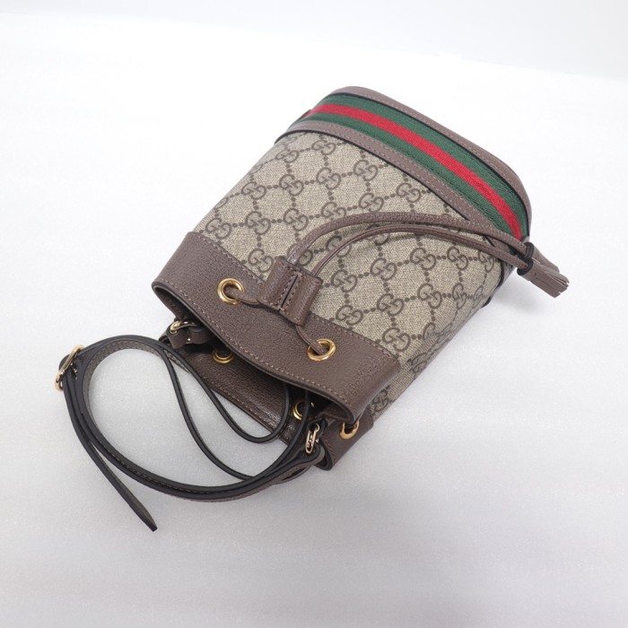 GUCCI bucket bag 550620