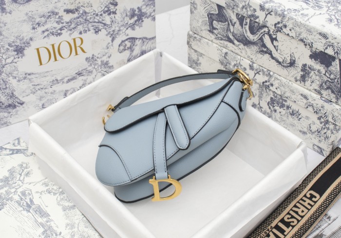 Dior Saddle bag Grained 19.5cm 6666