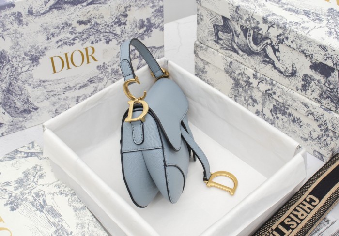 Dior Saddle bag Grained 19.5cm 6666