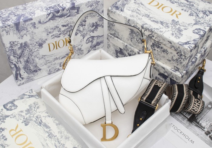 Dior Saddle bag Grained 25.5cm 6666