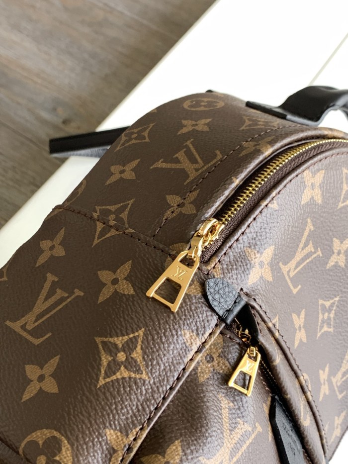 Louis Vuitton PALM SPRINGS MINI PM MM