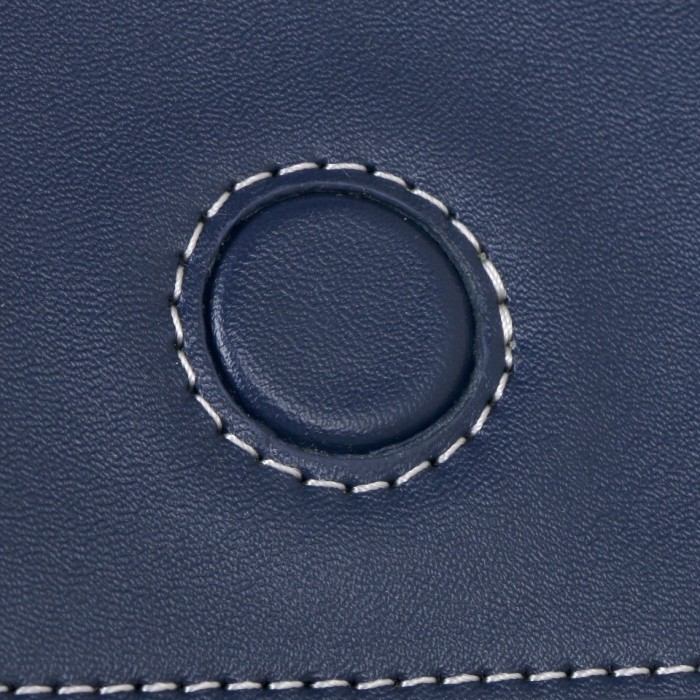 Goyard007GY003