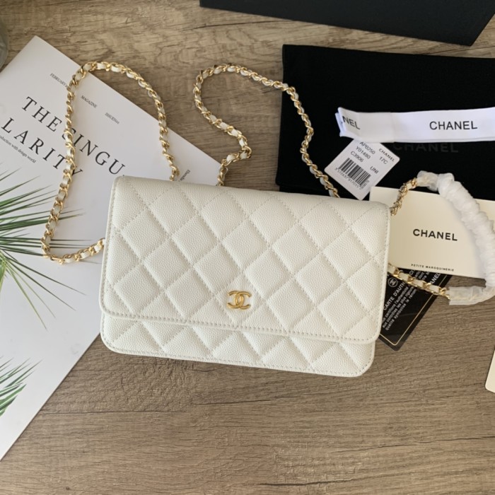 Top quality Chanel WOC 19cm 0250