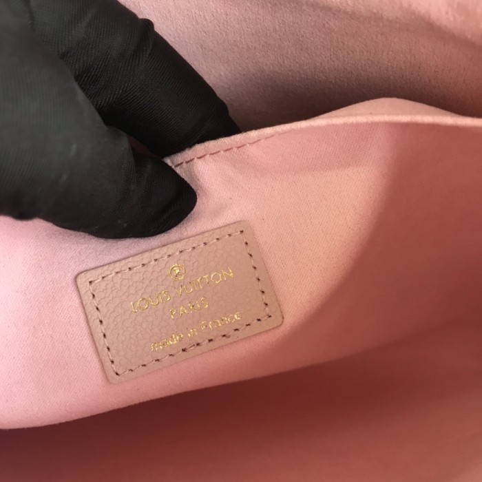 Louis Vuitton DAILY POUCH