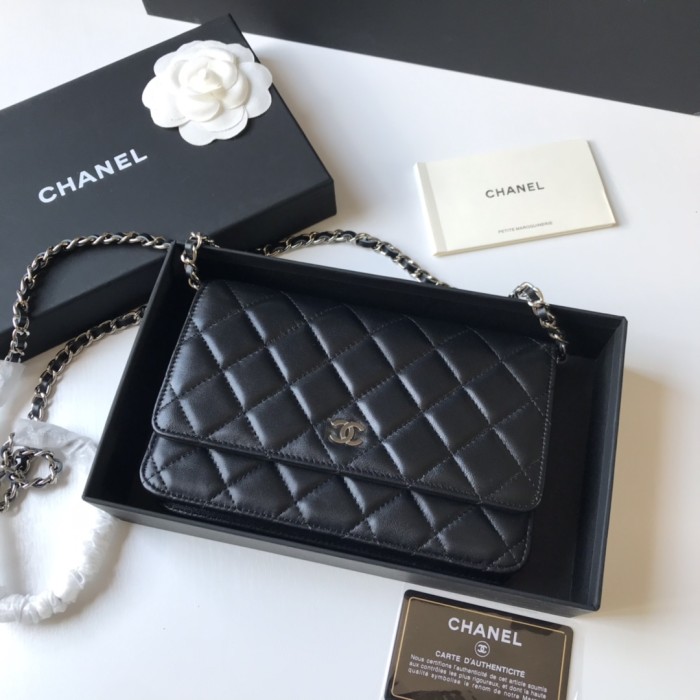 Top quality Chanel WOC 19cm 0250