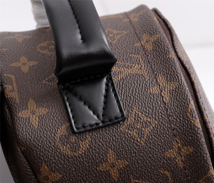 Louis Vuitton PALM SPRINGS MINI PM MM
