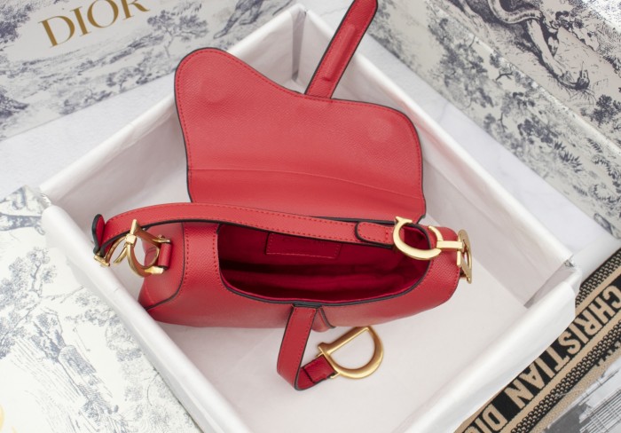 Dior Saddle bag Grained 19.5cm 6666