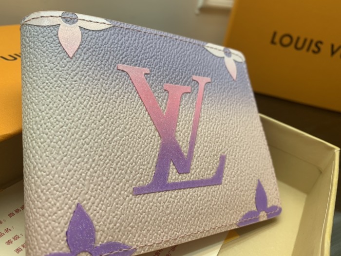 Louis Vuitton MULTIPLE WALLET
