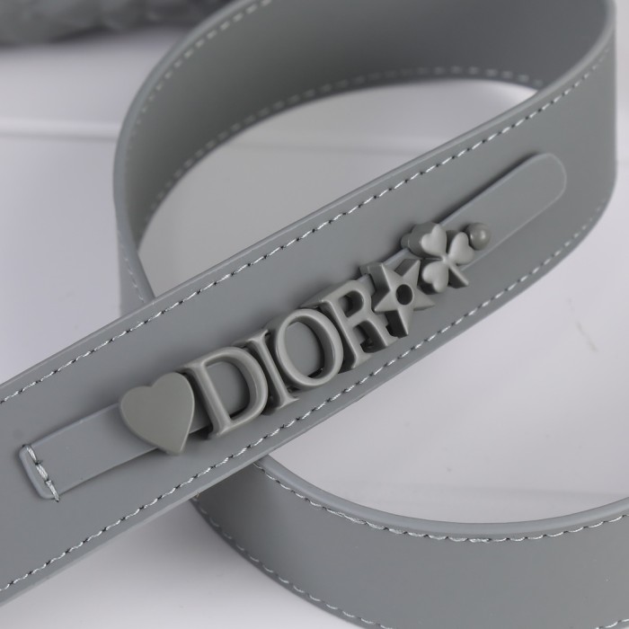 Dior2033XB091