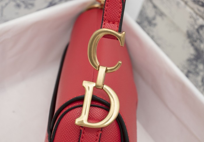 Dior Saddle bag Grained 19.5cm 6666