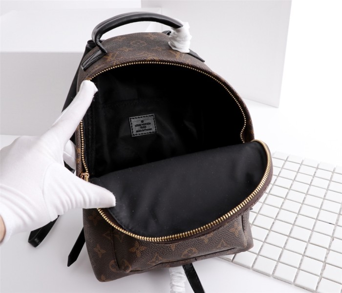 Louis Vuitton PALM SPRINGS MINI PM MM