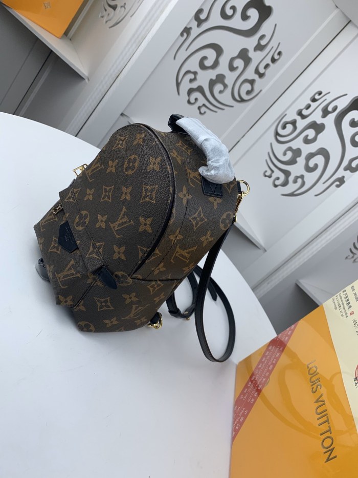 Louis Vuitton PALM SPRINGS MINI PM MM