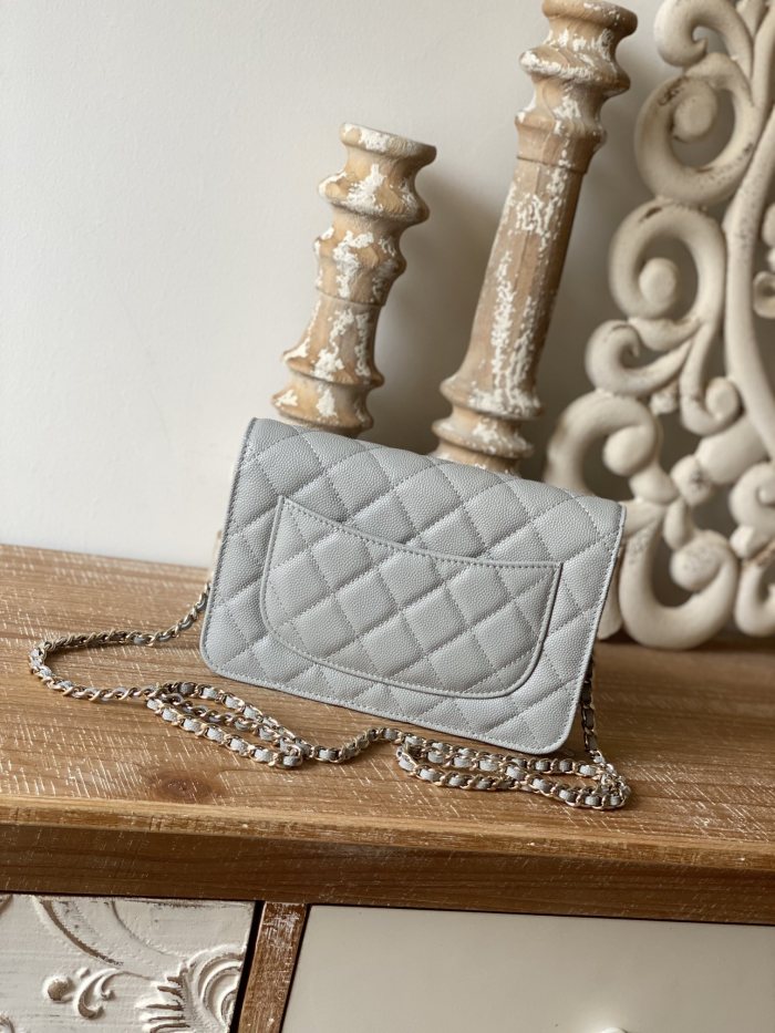 Top quality Chanel WOC 19cm 0250