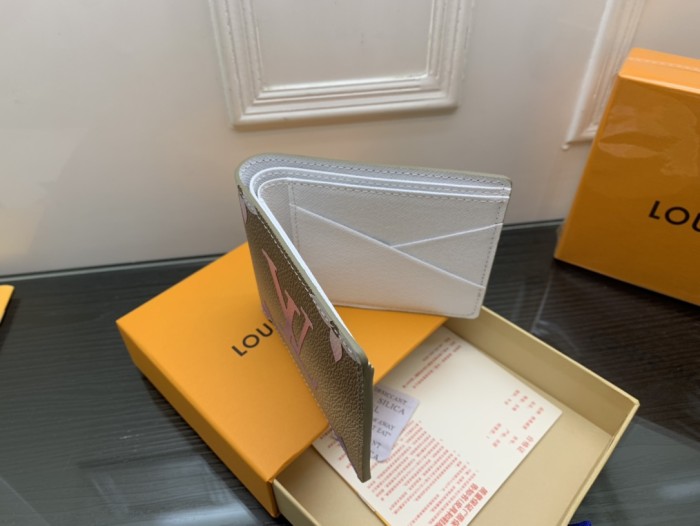 Louis Vuitton MULTIPLE WALLET