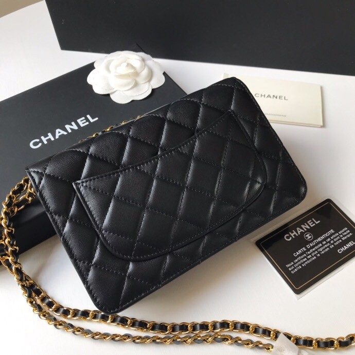 Top quality Chanel WOC 19cm 0250