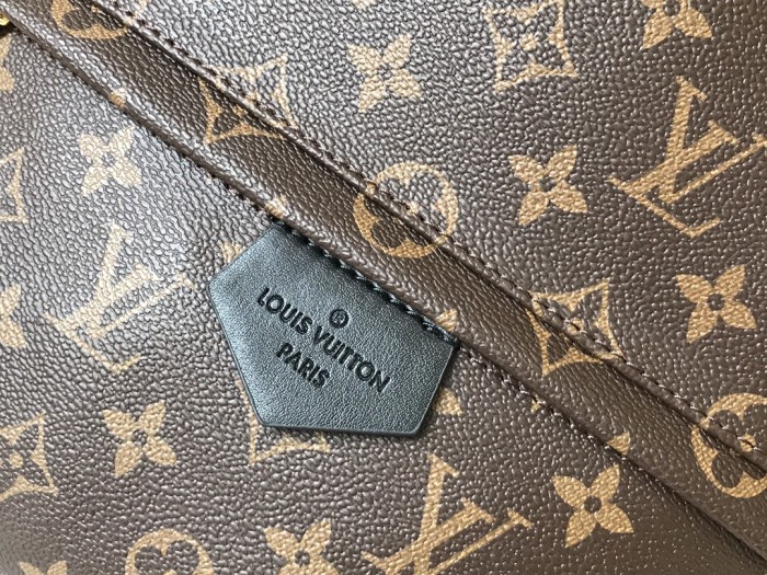 Louis Vuitton PALM SPRINGS MINI PM MM