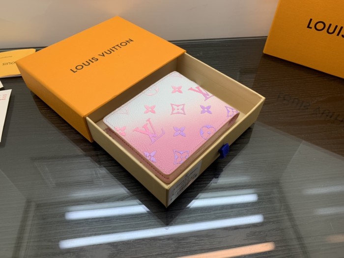 Louis Vuitton MULTIPLE WALLET