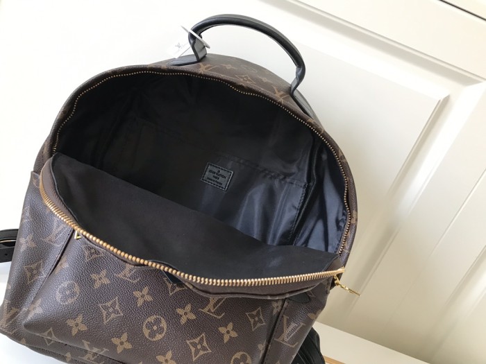 Louis Vuitton PALM SPRINGS MINI PM MM