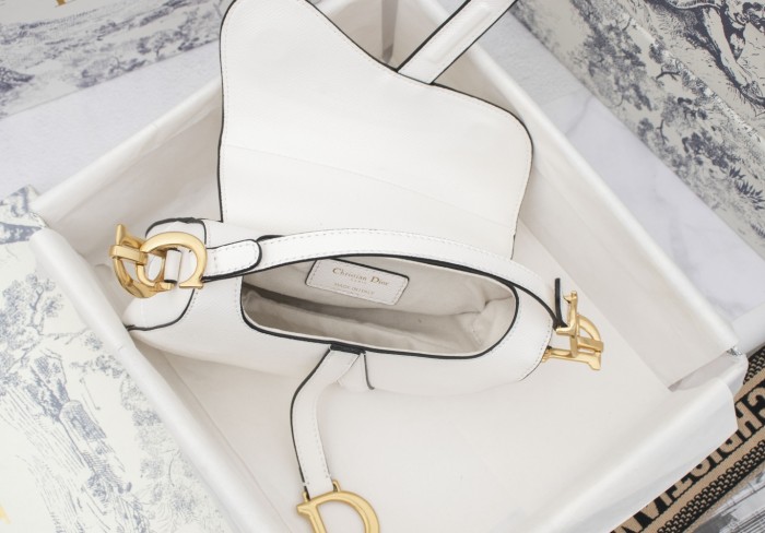 Dior Saddle bag Grained 19.5cm 6666