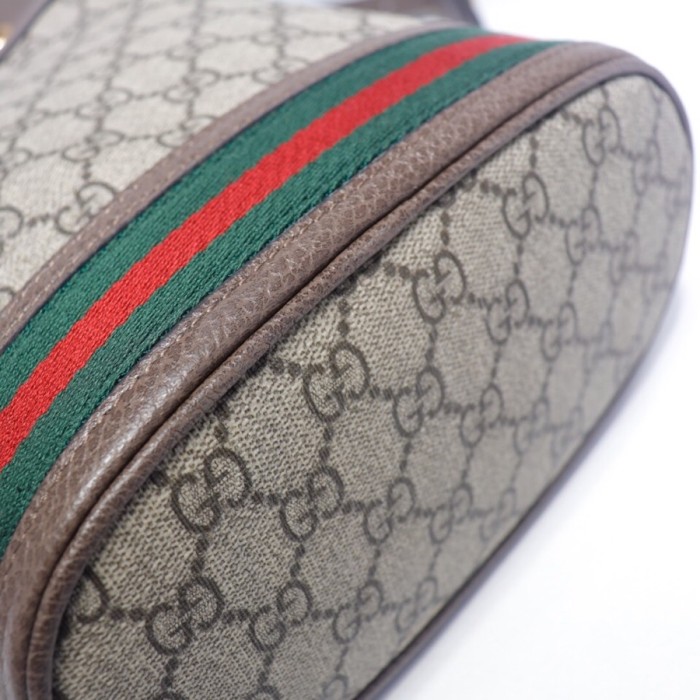 GUCCI bucket bag 550621