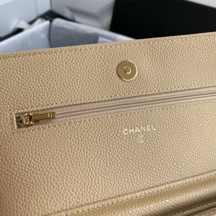 Top quality Chanel WOC 19cm 0250