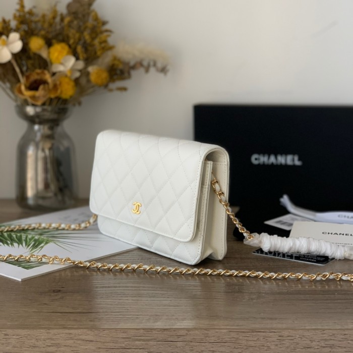 Top quality Chanel WOC 19cm 0250