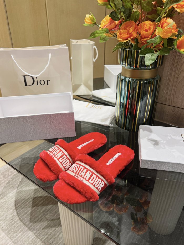 Dior shoes Plush slippers Embroidered logo CD001